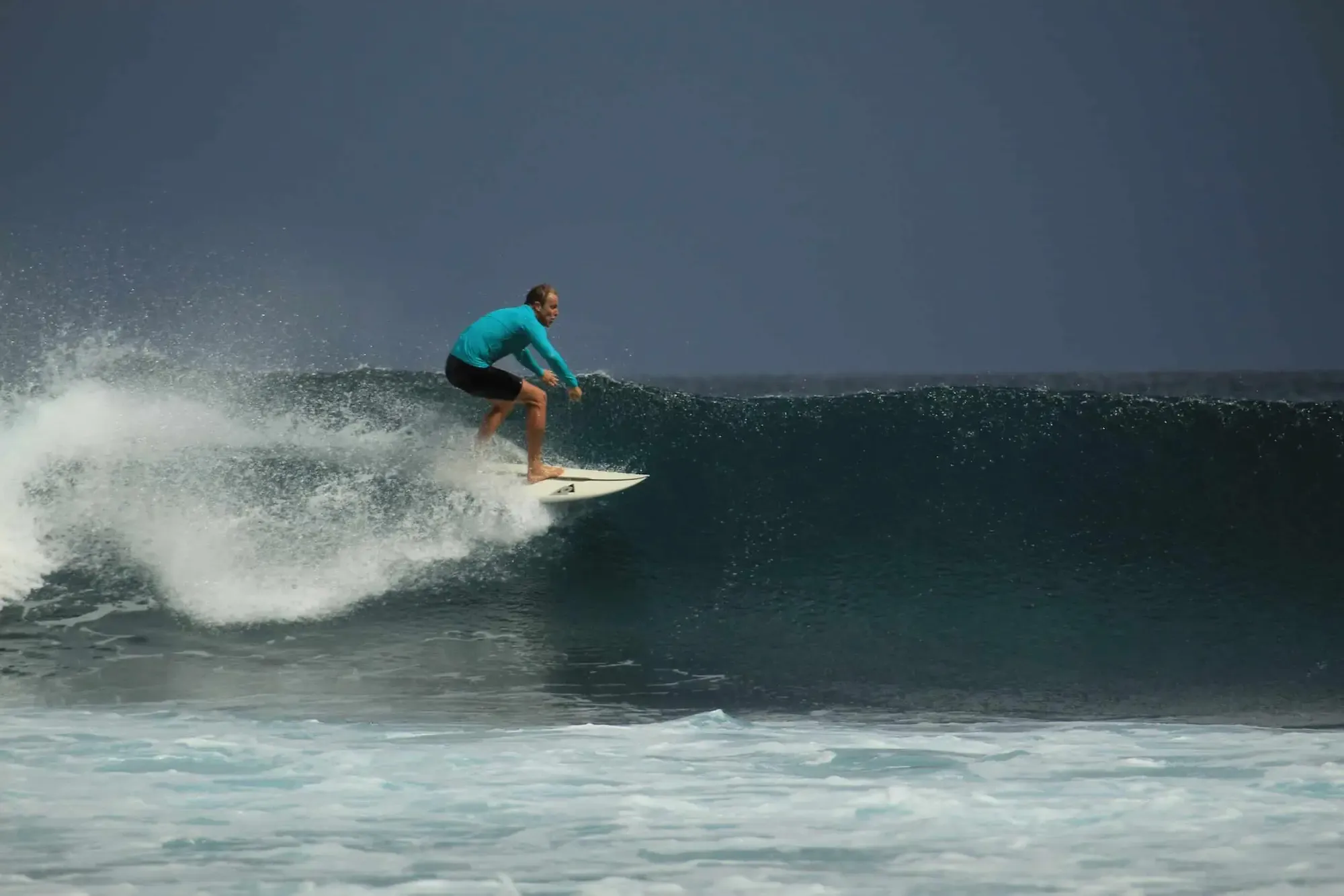 Seed Resort - Experience