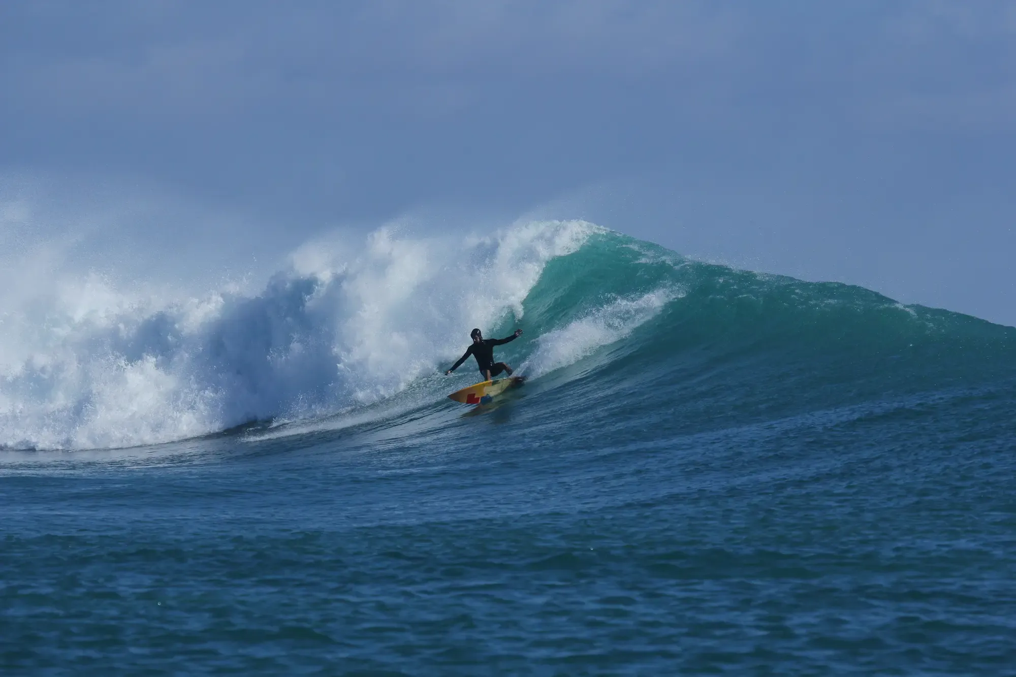 Surfing - Seed Resort
