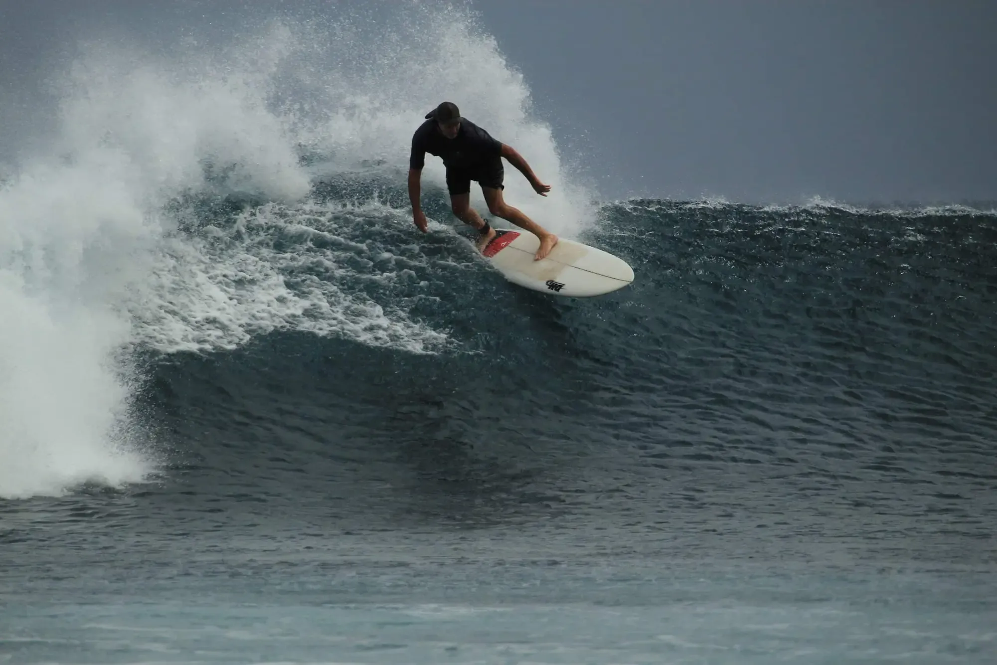 Seed Resort - Experience