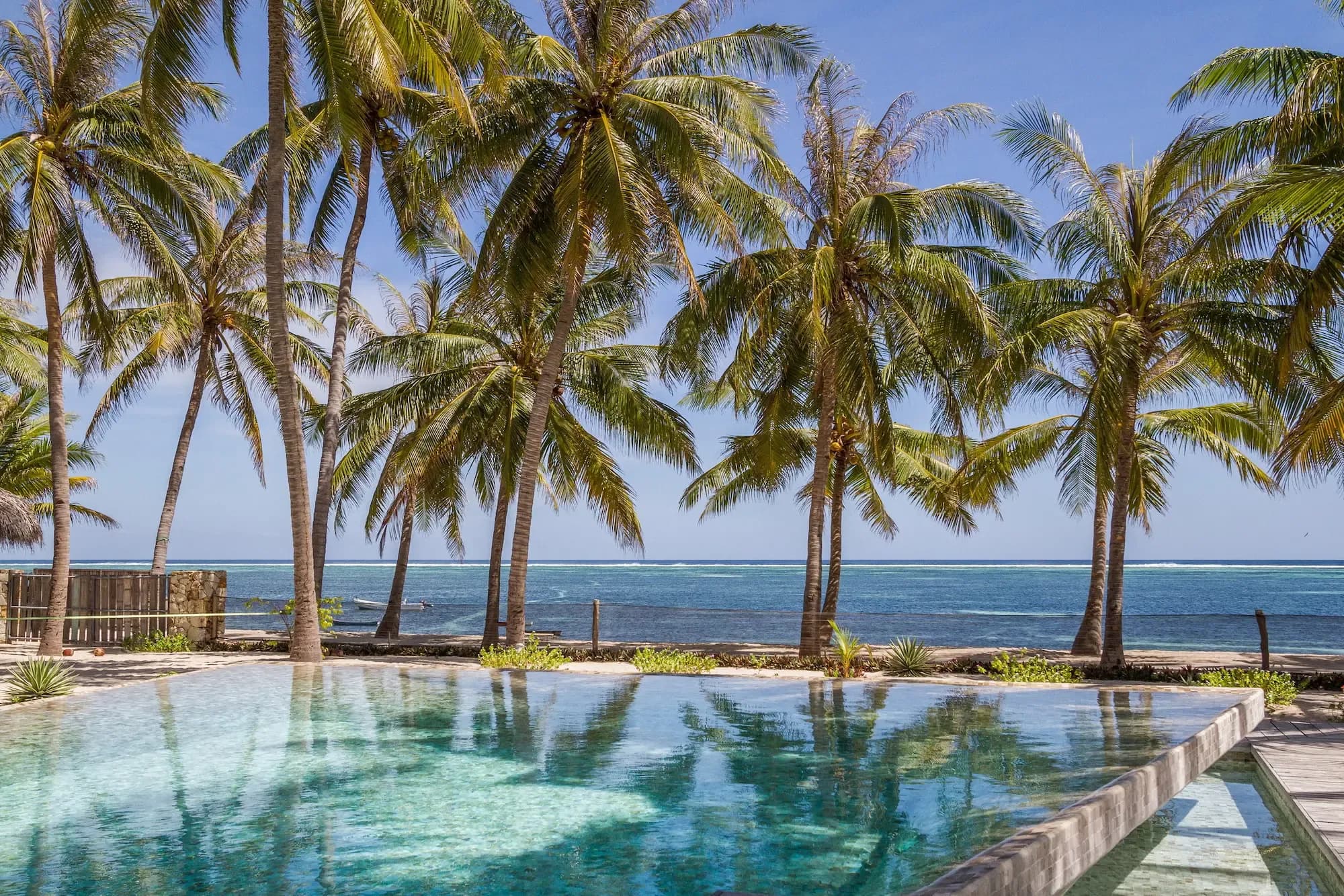 Seed Resort - Travel