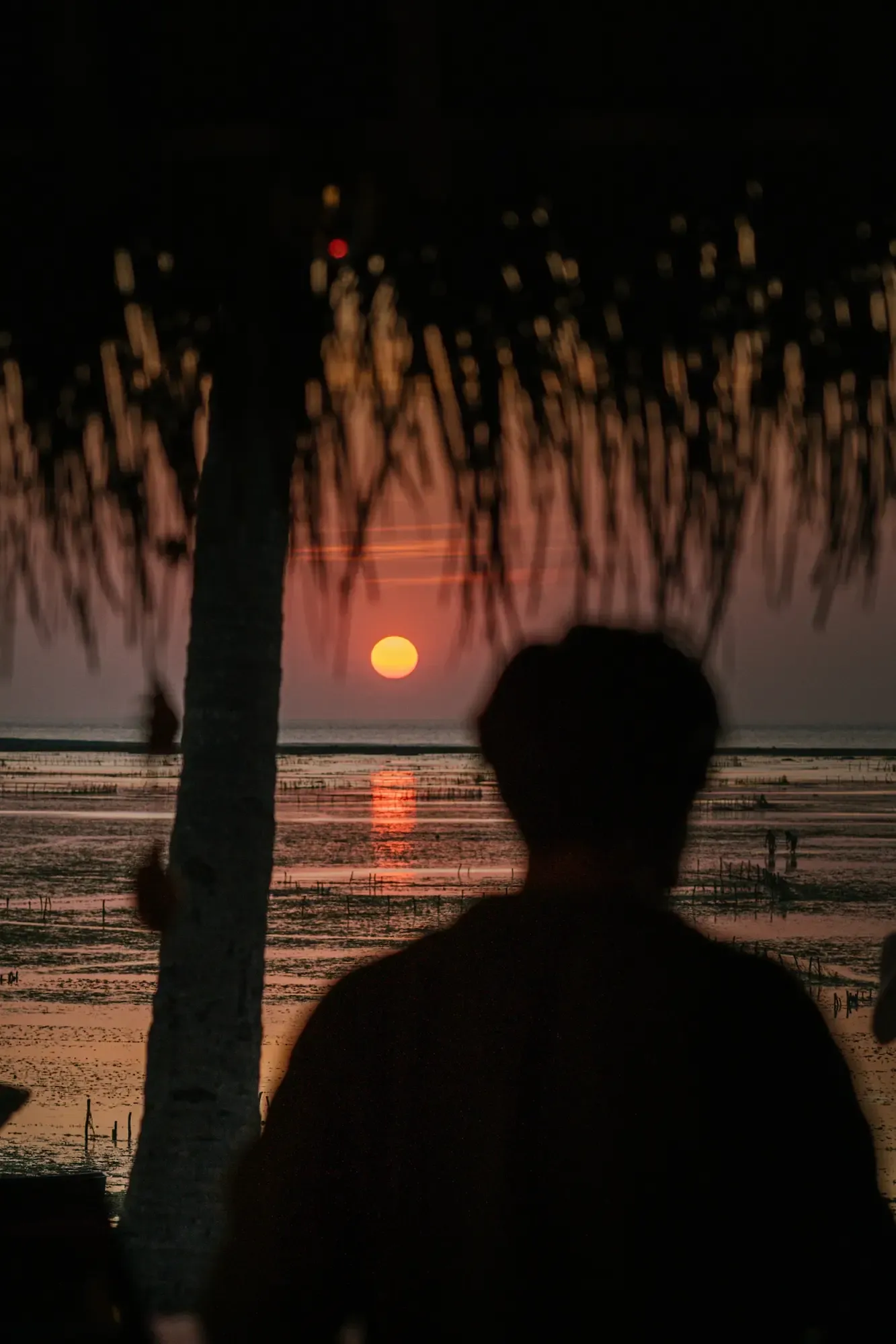 Seed Resort - Travel