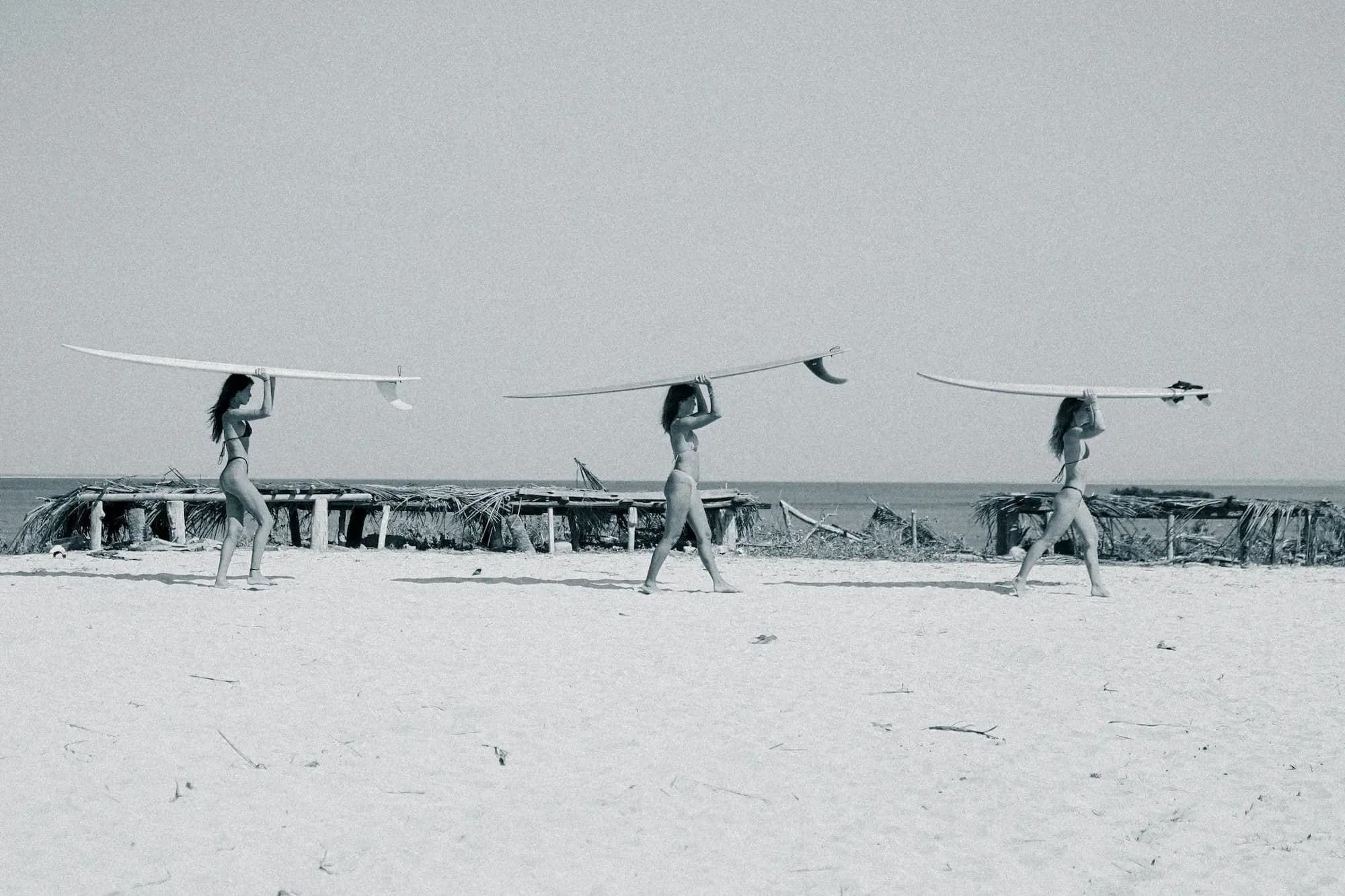 Seed Resort - Offers