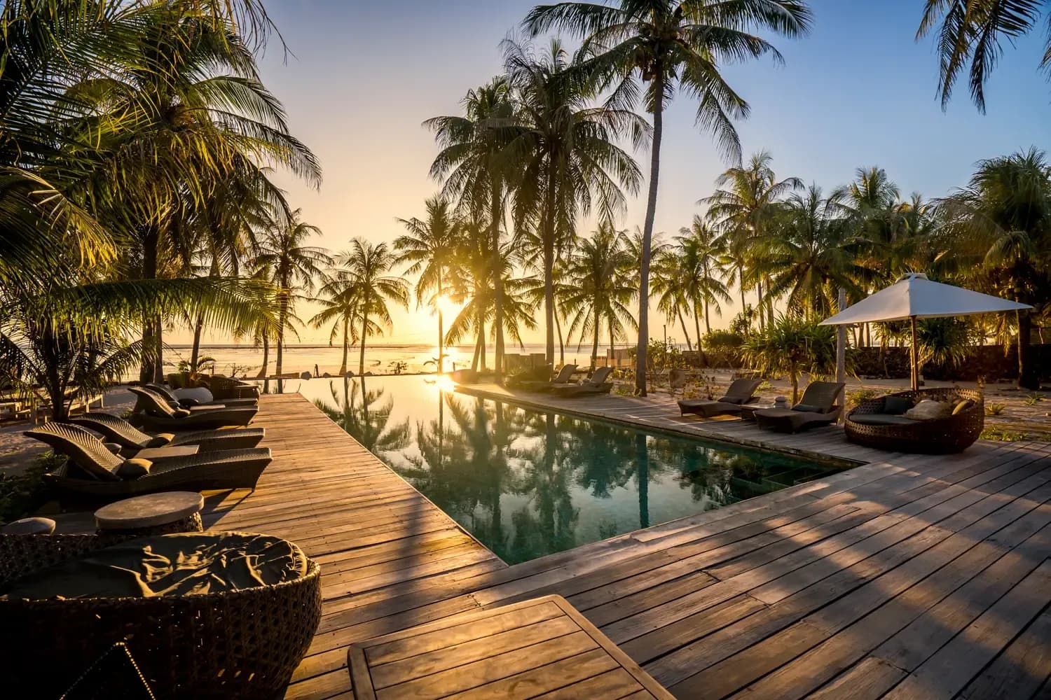 Seed Resort - Travel