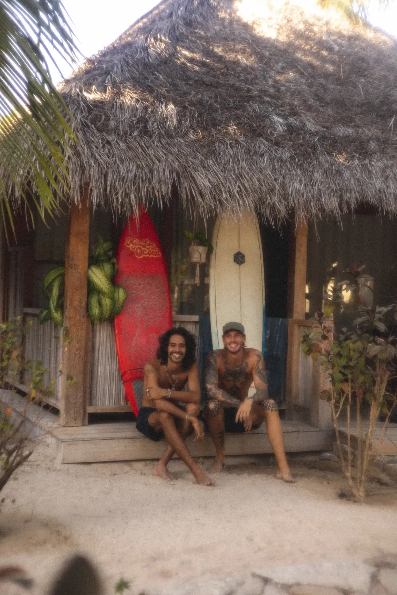 Seed Resort - Travel